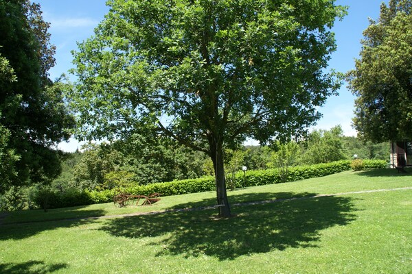 Foto van Vakantiehuis in Città di Castello met Zwembad - Vakantiehuis in Città di Castello - GardenSummer