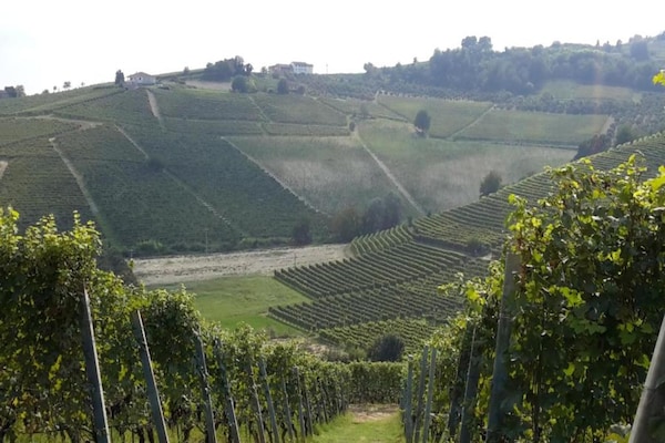 Foto van Appartement in Bastia Mondovì met Zwembad - Vakantiehuis in Bastia Mondovì - AreaSummer20KM