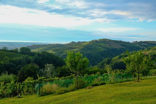 Foto van Vakantiehuis in Langhe met Zwembad en Terras - Vakantiehuis in Bastia Mondovì - AreaSummer20KM