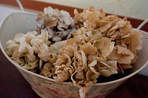Foto van Een romantisch Rocca-toevluchtsoord - Vakantiehuis in Rocca Grimalda - Ambiance