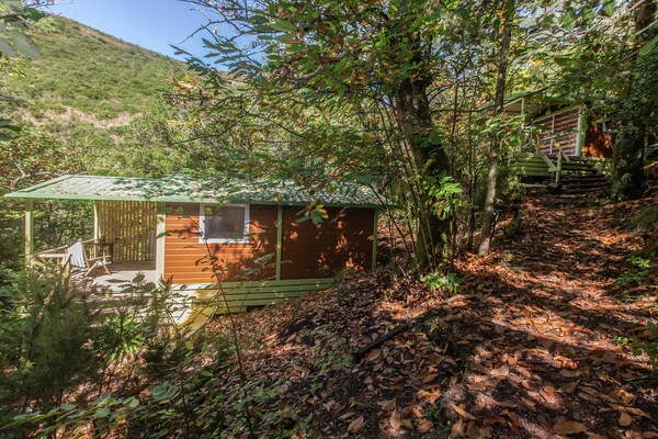 Foto van Bungalow in Sestri Levante vlakbij bos en zee - Vakantiehuis in Sestri Levante - ExteriorSummer