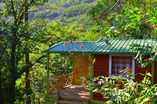 Foto van Bungalow in Sestri Levante vlakbij bos en zee - Vakantiehuis in Sestri Levante - ExteriorSummer