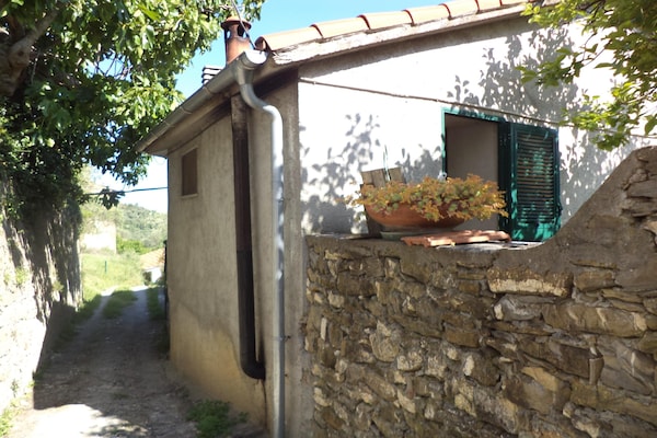 Foto van Rustig verblijf in de Ligurische heuvels - Vakantiehuis in Stellanello - HallReception