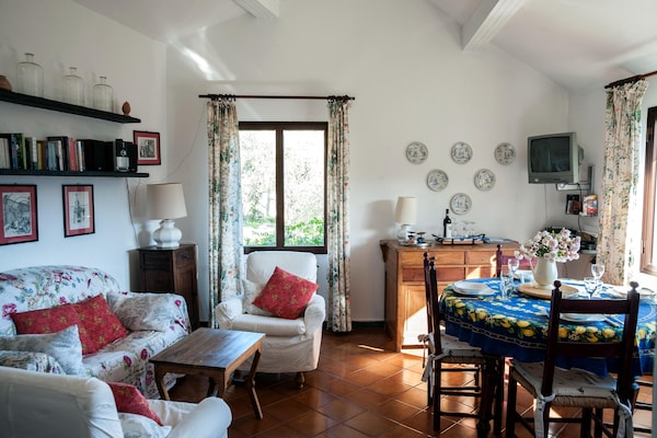 Foto van Rustig verblijf in de Ligurische heuvels - Vakantiehuis in Stellanello - LivingRoom