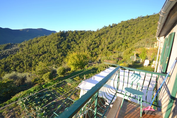 Foto van Rustig verblijf in de Ligurische heuvels - Vakantiehuis in Stellanello - TerraceBalcony