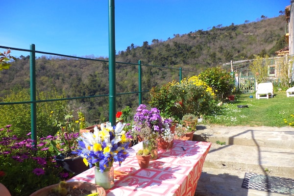 Foto van Rustig verblijf in de Ligurische heuvels - Vakantiehuis in Stellanello - GardenSummer