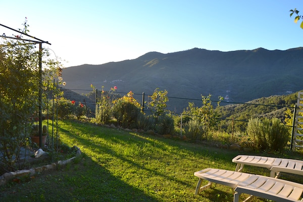 Foto van Rustig verblijf in de Ligurische heuvels - Vakantiehuis in Stellanello - GardenSummer