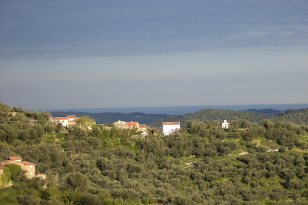 Foto van Rustig verblijf in de Ligurische heuvels - Vakantiehuis in Stellanello - AreaSummer5KM