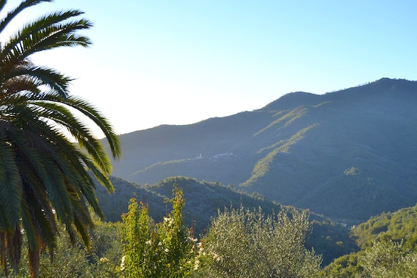Foto van Rustig verblijf in de Ligurische heuvels - Vakantiehuis in Stellanello - ViewSummer