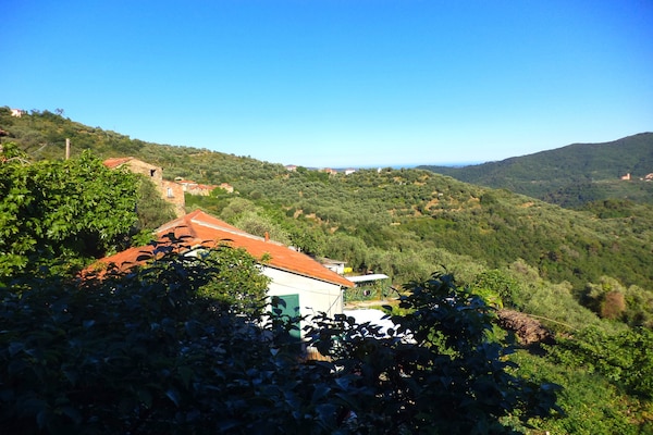 Foto van Rustig verblijf in de Ligurische heuvels - Vakantiehuis in Stellanello - ExteriorSummer