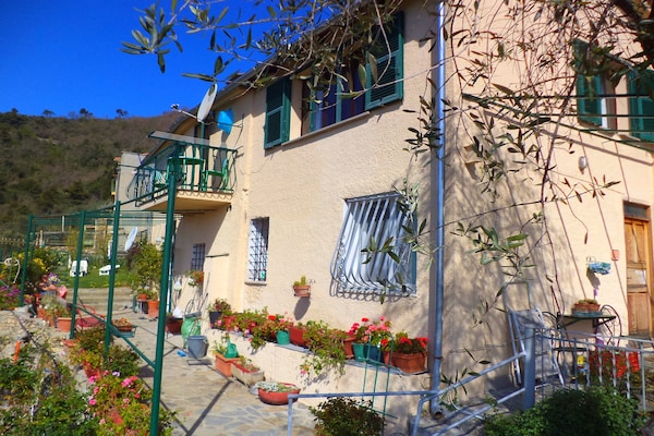 Foto van Rustig verblijf in de Ligurische heuvels - Vakantiehuis in Stellanello - ExteriorSummer