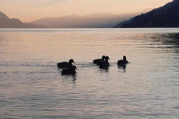 Foto van Ruime retraite in Cannero - Vakantiehuis in Cannero Riviera - AreaSummer5KM