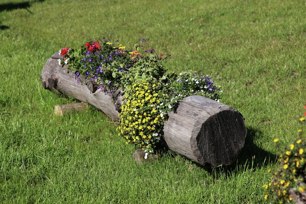 Foto van Magiërshuisje Bellamonte - Vakantiehuis in Bellamonte - GardenSummer