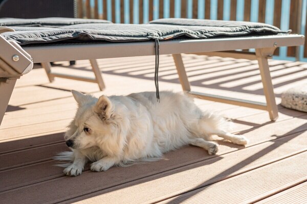 Foto van Kastanje Niederhaushof - Vakantiehuis in Partschins - TerraceBalcony