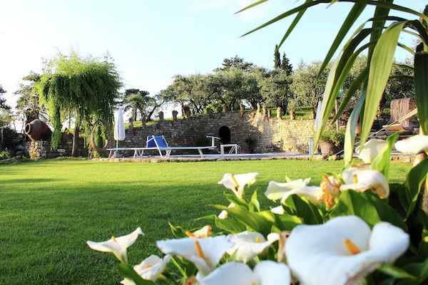 Foto van Hart van Emilia-Romagna Appartement - Vakantiehuis in Modigliana - GardenSummer