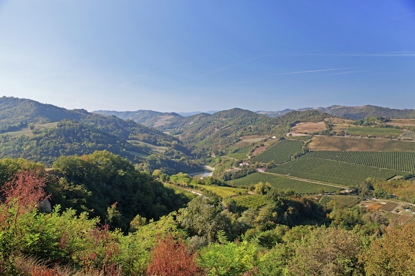 Foto van Hart van Emilia-Romagna Appartement - Vakantiehuis in Modigliana - ViewSummer
