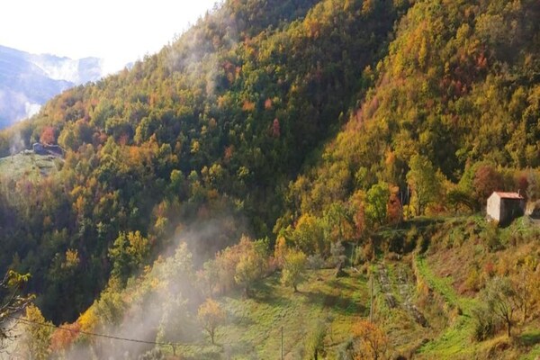 Foto van Prachtig appartement met zwembad - Vakantiehuis in Figline E Incisa Valdarno - AreaSummer20KM
