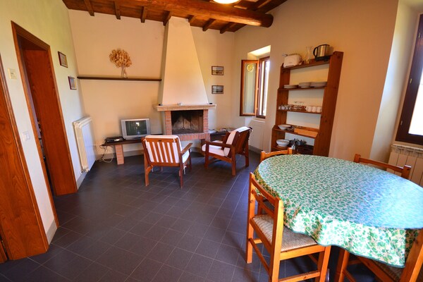 Foto van Prachtig appartement met zwembad - Vakantiehuis in Figline E Incisa Valdarno - LivingRoom