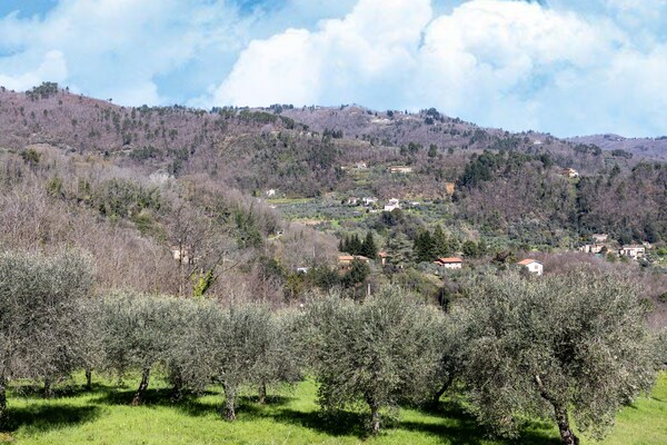 Foto van Huis op de heuvel in Marliana - Vakantiehuis in Marliana - ViewSummer