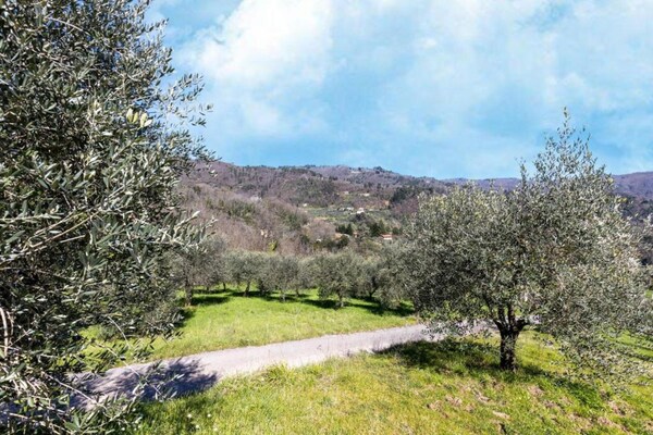 Foto van Huis op de heuvel in Marliana - Vakantiehuis in Marliana - AreaSummer20KM