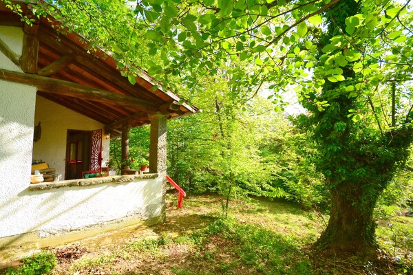 Foto van Vintage vakantiehuis - Vakantiehuis in Migliorini - Pistoia - ViewSummer