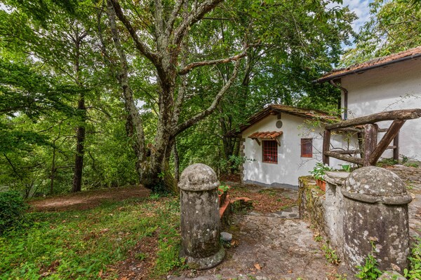Foto van Vintage vakantiehuis - Vakantiehuis in Migliorini - Pistoia - GardenSummer