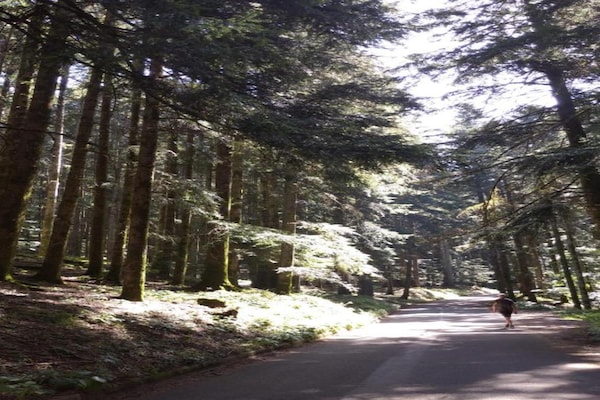 Foto van Vakantiehuis in Ortignano - Vakantiehuis in Ortignano - AreaSummer20KM