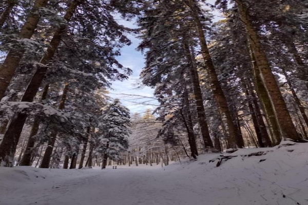 Foto van Vakantiehuis in Ortignano - Vakantiehuis in Ortignano - AreaSummer20KM