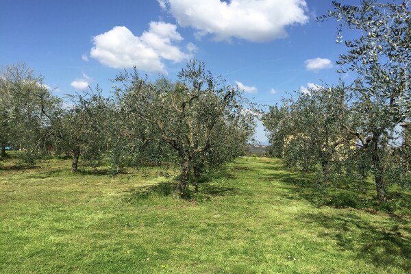Foto van Uitje naar een Toscaans landhuis - Vakantiehuis in Pian di scò - ViewSummer