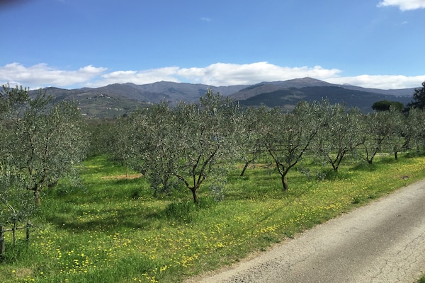 Foto van Uitje naar een Toscaans landhuis - Vakantiehuis in Pian di scò - ViewSummer
