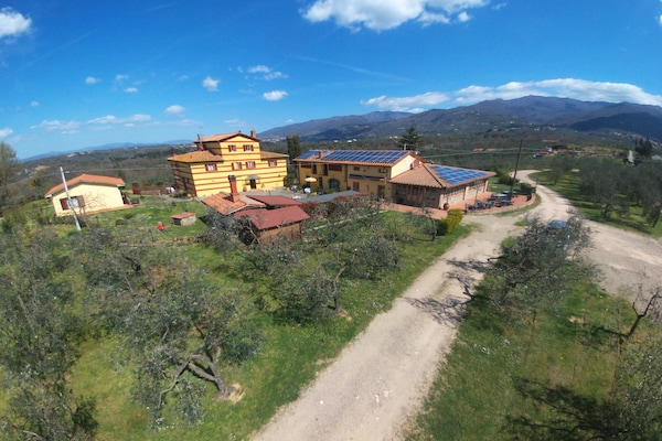 Foto van Uitje naar een Toscaans landhuis - Vakantiehuis in Pian di scò - ExteriorSummer