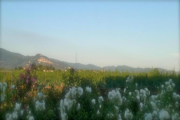 Foto van Vakantiehuis in Cortona - Vakantiehuis in Cortona - AreaSummer20KM