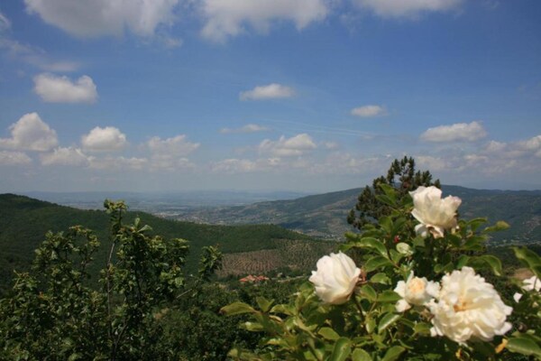 Foto van Aantrekkelijk herenhuis met zwembad - Vakantiehuis in Chianacce - AreaSummer20KM