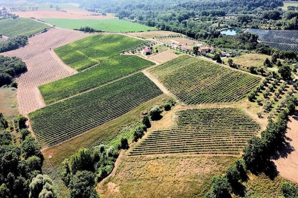 Foto van Appartement met zwembad in het hart van Toscane - Vakantiehuis in Montepulciano - AreaSummer1KM