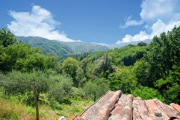 Foto van ﻿Rustiek vakantiehuis in Lucca met een privétuin - ViewSummer