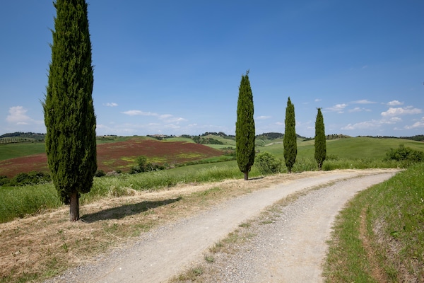 Foto van Peccioli Familie Retreat met Plezier - Vakantiehuis in Peccioli - AreaSummer1KM