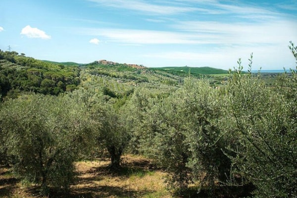 Foto van Huisdiervriendelijke vakantie, Castagneto Carducci - ViewSummer