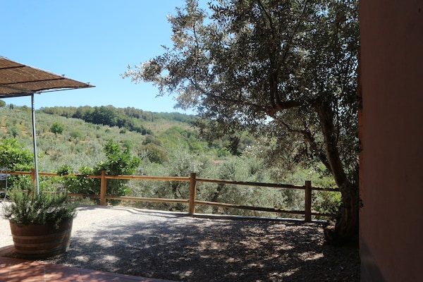 Foto van Huisdiervriendelijke vakantie, Castagneto Carducci - ViewSummer