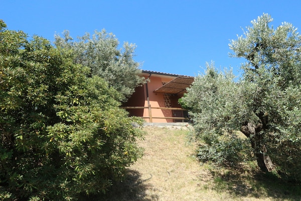 Foto van Huisdiervriendelijke vakantie, Castagneto Carducci - ExteriorSummer
