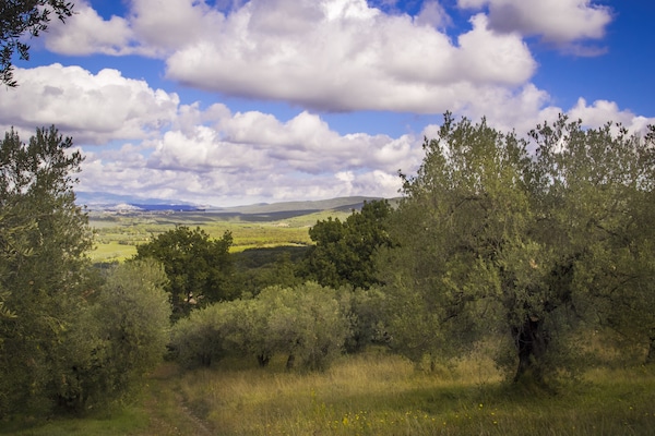 Foto van Huisdiervriendelijke vakantie, Castagneto Carducci - ViewSummer
