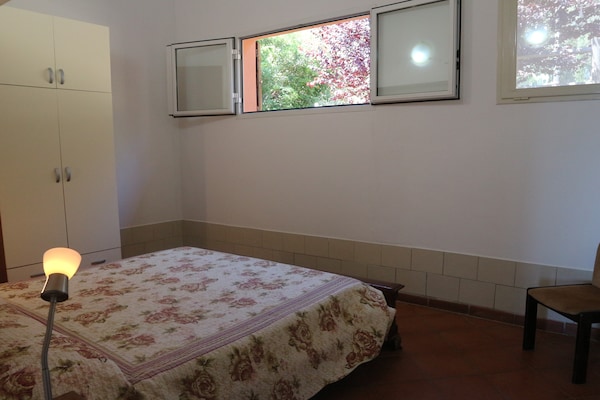 Foto van Huisdiervriendelijke vakantie, Castagneto Carducci - BedRoom