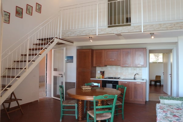 Foto van Huisdiervriendelijke vakantie, Castagneto Carducci - Kitchen