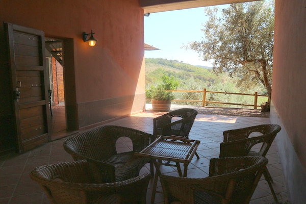 Foto van Huisdiervriendelijke vakantie, Castagneto Carducci - TerraceBalcony