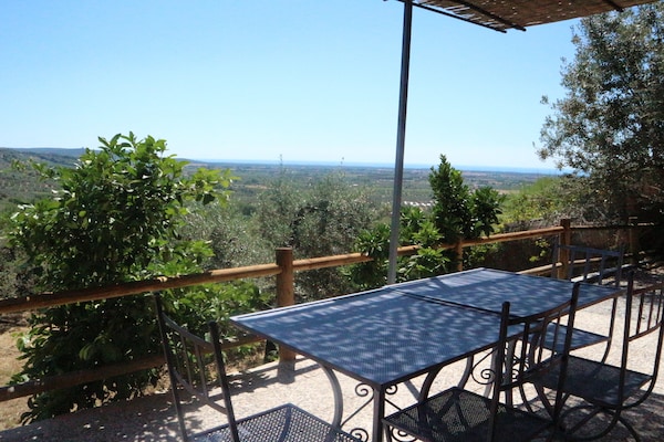 Foto van Huisdiervriendelijke vakantie, Castagneto Carducci - TerraceBalcony