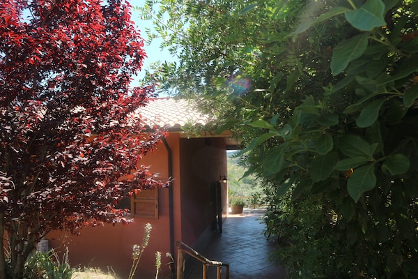 Foto van Huisdiervriendelijke vakantie, Castagneto Carducci - GardenSummer