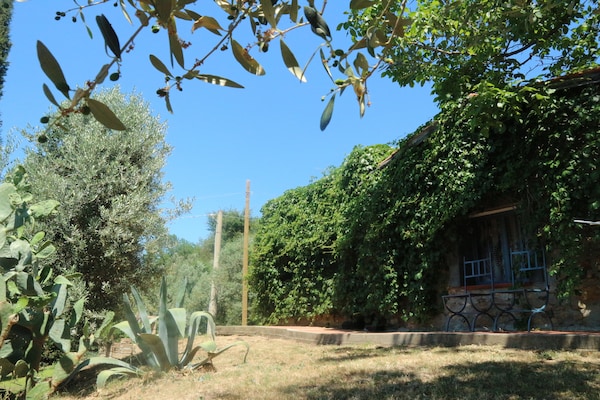 Foto van Huisdiervriendelijke vakantie, Castagneto Carducci - GardenSummer