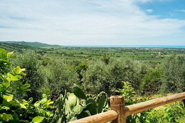 Foto van Huisdiervriendelijke vakantie, Castagneto Carducci - ViewSummer