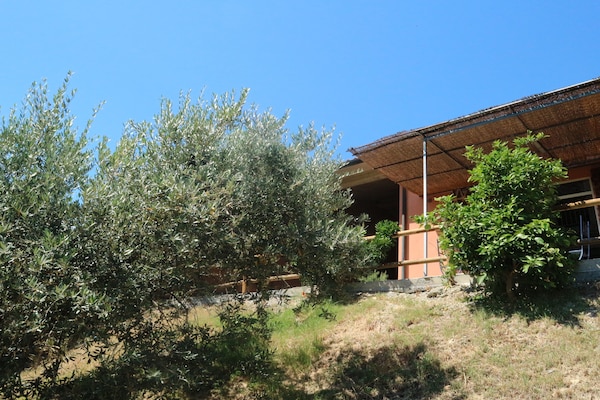Foto van Huisdiervriendelijke vakantie, Castagneto Carducci - GardenSummer