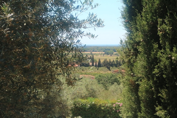 Foto van Huisdiervriendelijke vakantie, Castagneto Carducci - ViewSummer