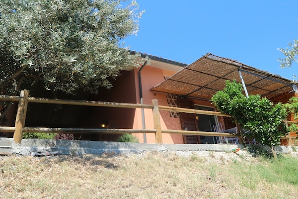 Foto van Huisdiervriendelijke vakantie, Castagneto Carducci - ExteriorSummer